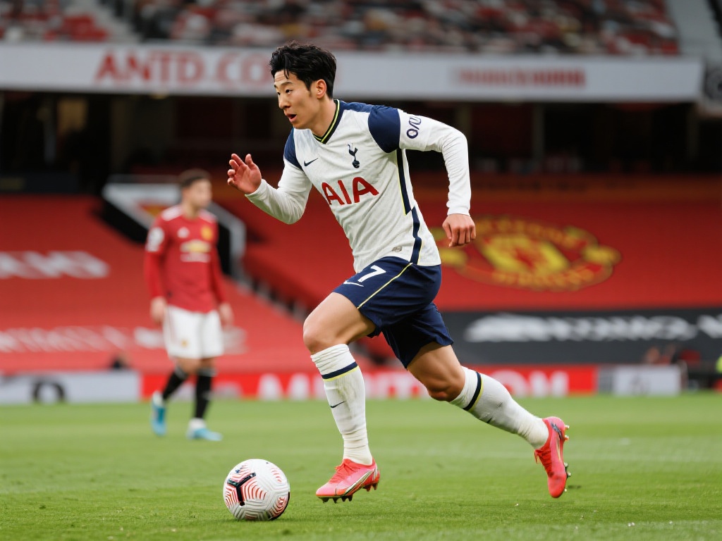 丰富的观赛 丰富的观赛